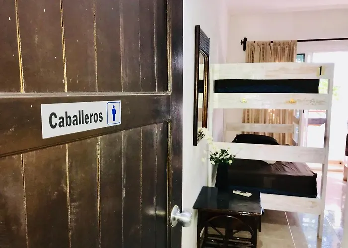 Dolce Vita Caribe Beach Auberge de jeunesse Playa del Carmen